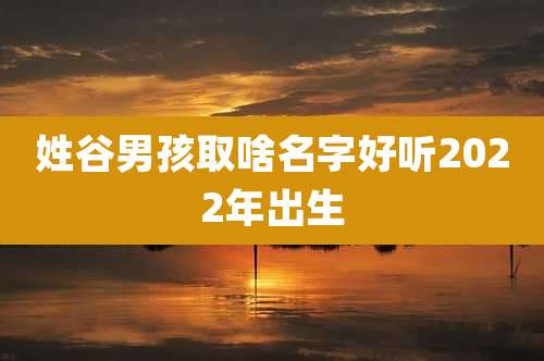 姓谷男孩取啥名字好听2022年出生