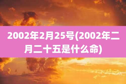 2002年2月25号(2002年二月二十五是什么命)