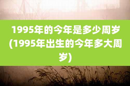 1995年的今年是多少周岁(1995年出生的今年多大周岁)
