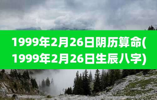1999年2月26日阴历算命(1999年2月26日生辰八字)