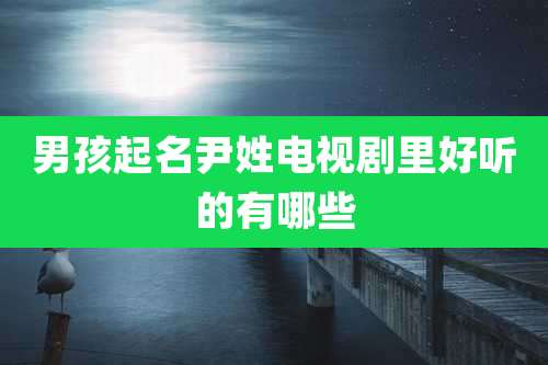 男孩起名尹姓电视剧里好听的有哪些