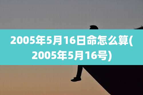 2005年5月16日命怎么算(2005年5月16号)