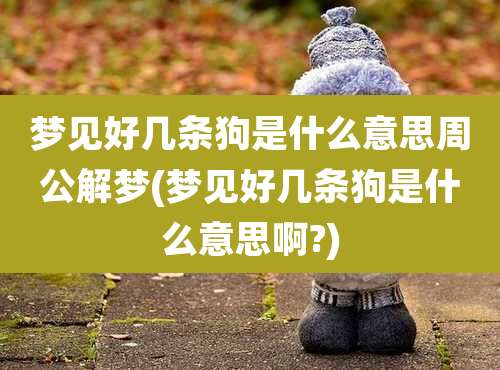 梦见好几条狗是什么意思周公解梦(梦见好几条狗是什么意思啊?)