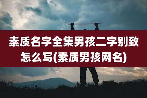 素质名字全集男孩二字别致怎么写(素质男孩网名)