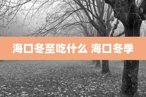 海口冬至吃什么 海口冬季