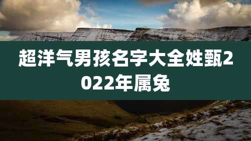 超洋气男孩名字大全姓甄2022年属兔