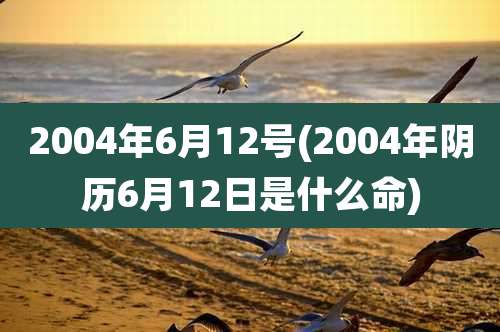 2004年6月12号(2004年阴历6月12日是什么命)