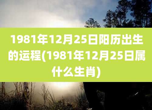 1981年12月25日阳历出生的运程(1981年12月25日属什么生肖)