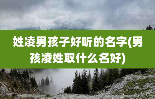 姓凌男孩子好听的名字(男孩凌姓取什么名好)