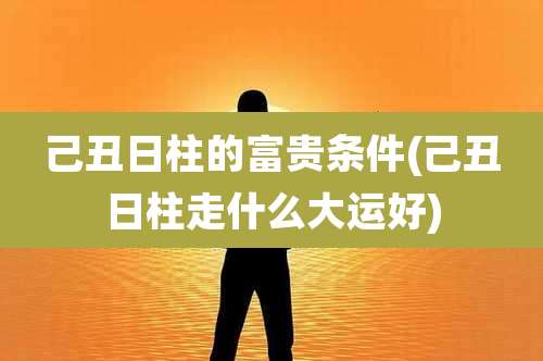 己丑日柱的富贵条件(己丑日柱走什么大运好)
