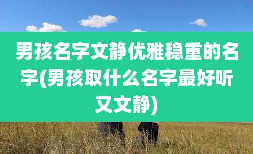 男孩名字文静优雅稳重的名字(男孩取什么名字最好听又文静)