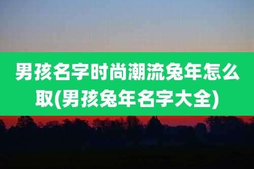 男孩名字时尚潮流兔年怎么取(男孩兔年名字大全)