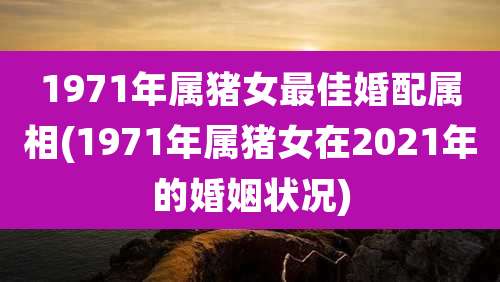 1971年属猪女最佳婚配属相(1971年属猪女在2021年的婚姻状况)