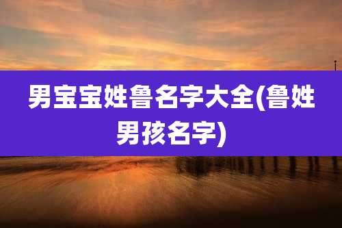 男宝宝姓鲁名字大全(鲁姓男孩名字)