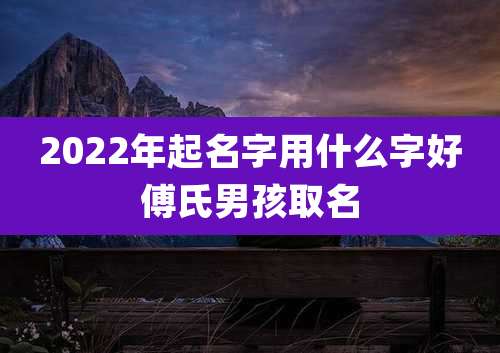 2022年起名字用什么字好傅氏男孩取名