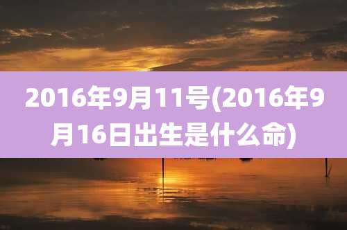 2016年9月11号(2016年9月16日出生是什么命)