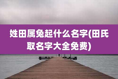 姓田属兔起什么名字(田氏取名字大全免费)