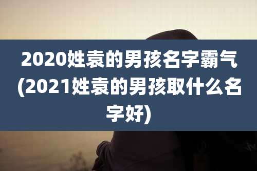 2020姓袁的男孩名字霸气(2021姓袁的男孩取什么名字好)