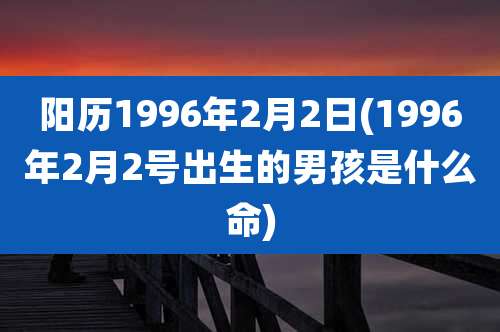 阳历1996年2月2日(1996年2月2号出生的男孩是什么命)