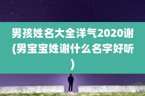 男孩姓名大全洋气2020谢(男宝宝姓谢什么名字好听)