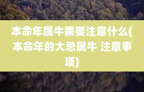 本命年属牛需要注意什么(本命年的大忌属牛 注意事项)