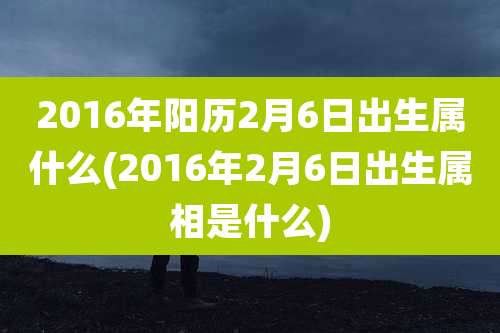 2016年阳历2月6日出生属什么(2016年2月6日出生属相是什么)