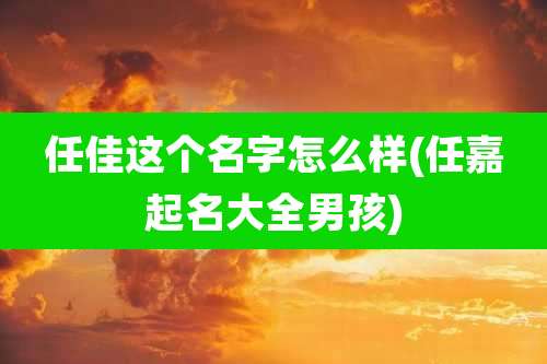 任佳这个名字怎么样(任嘉起名大全男孩)