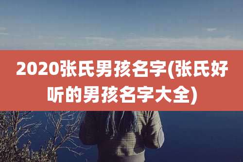 2020张氏男孩名字(张氏好听的男孩名字大全)