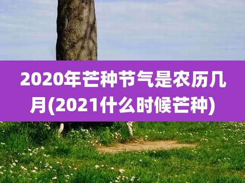 2020年芒种节气是农历几月(2021什么时候芒种)