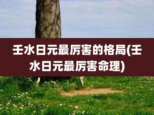 壬水日元最厉害的格局(壬水日元最厉害命理)