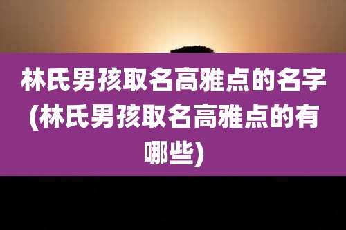 林氏男孩取名高雅点的名字(林氏男孩取名高雅点的有哪些)