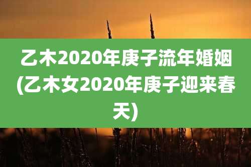 乙木2020年庚子流年婚姻(乙木女2020年庚子迎来春天)