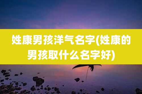 姓康男孩洋气名字(姓康的男孩取什么名字好)