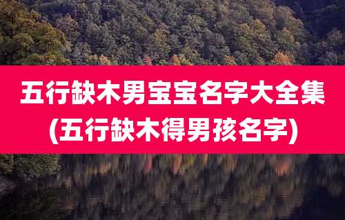 五行缺木男宝宝名字大全集(五行缺木得男孩名字)