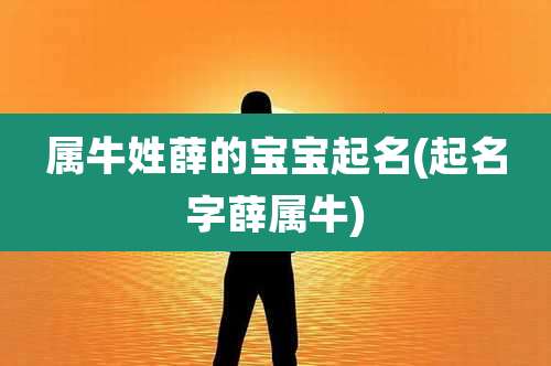 属牛姓薛的宝宝起名(起名字薛属牛)