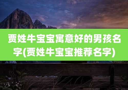 贾姓牛宝宝寓意好的男孩名字(贾姓牛宝宝推荐名字)