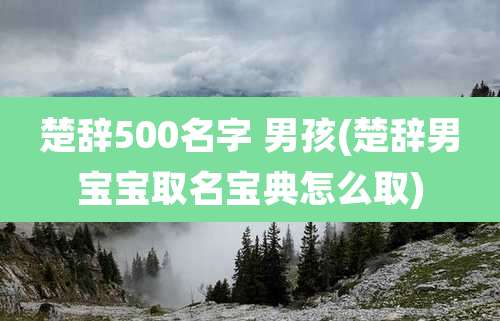 楚辞500名字 男孩(楚辞男宝宝取名宝典怎么取)