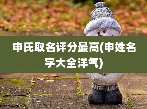 申氏取名评分最高(申姓名字大全洋气)