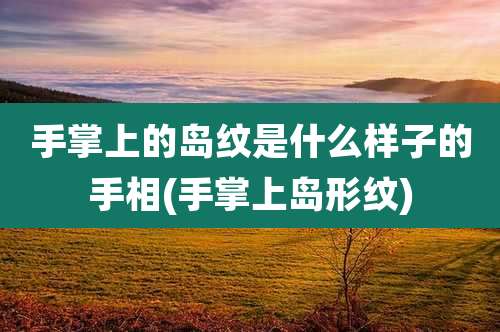 手掌上的岛纹是什么样子的手相(手掌上岛形纹)