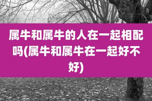 属牛和属牛的人在一起相配吗(属牛和属牛在一起好不好)
