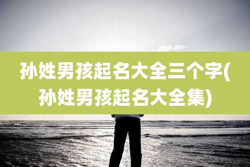 孙姓男孩起名大全三个字(孙姓男孩起名大全集)