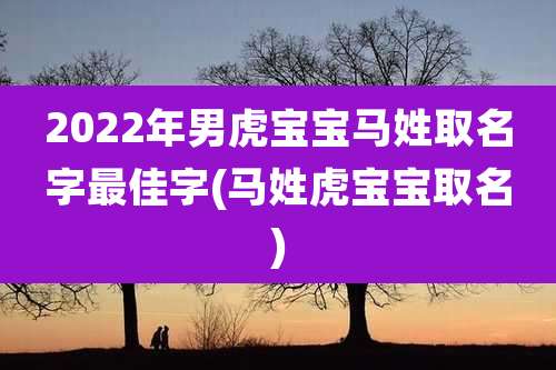 2022年男虎宝宝马姓取名字最佳字(马姓虎宝宝取名)
