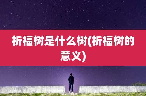祈福树是什么树(祈福树的意义)