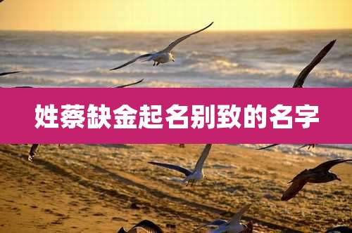 姓蔡缺金起名别致的名字