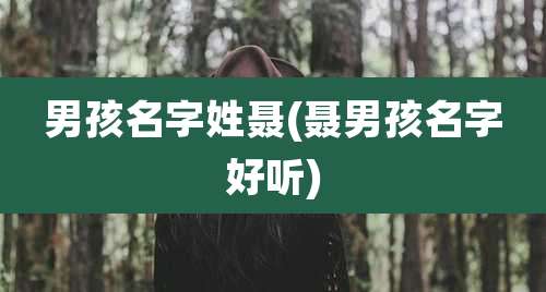 男孩名字姓聂(聂男孩名字好听)