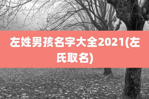 左姓男孩名字大全2021(左氏取名)