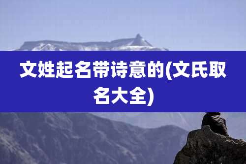 文姓起名带诗意的(文氏取名大全)