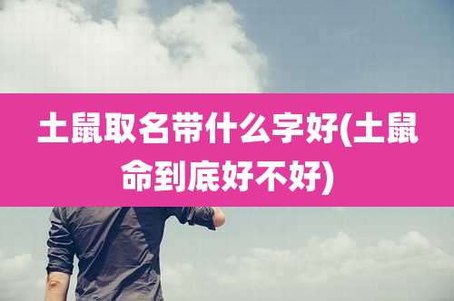 土鼠取名带什么字好(土鼠命到底好不好)