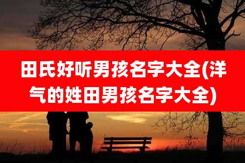 田氏好听男孩名字大全(洋气的姓田男孩名字大全)