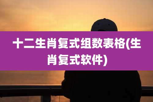 十二生肖复式组数表格(生肖复式软件)